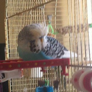 Profile Picture of Kathryn Wright (@Kathryn-Wright) on Facebook