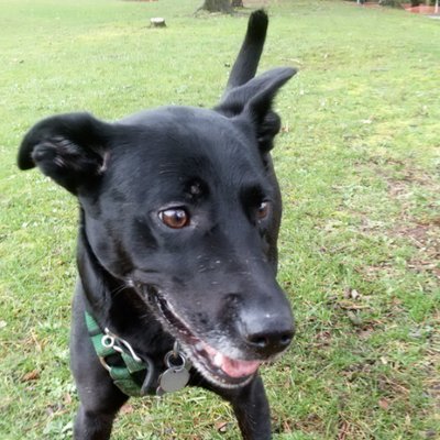 Profile Picture of JacobAdamson (@JacobAdamson7) on Twitter