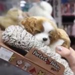 Profile Picture of Alex Warren (@alexwarren38) on Instagram