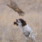 Profile Picture of Kathy Sleavin (@kathy.sleavin) on Facebook