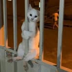 Profile Picture of Klyde Zedrex Tabon (@Klyde-Zedrex-Tabon) on Facebook