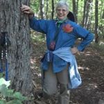 Profile Picture of Nancy Strayer (@strayernancy) on Instagram