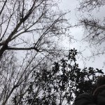 Profile Picture of Carl Regan (@poilkmnb) on Instagram