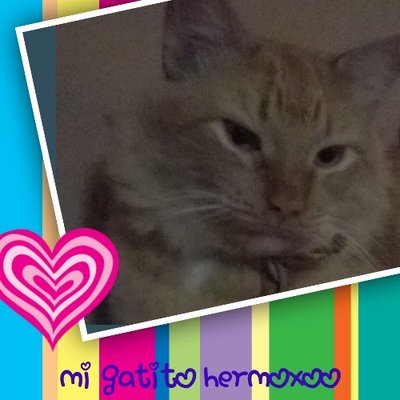 Profile Picture of Lucero Ramirez (@jodi_lucero) on Twitter