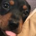 Profile Picture of Jeffrey Grove (@jeffrey.grove.794) on Facebook
