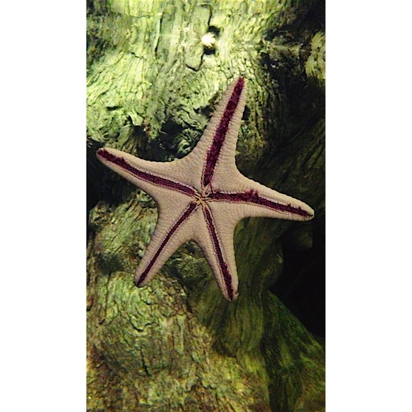 Profile Picture of Carrie Bilyou (@carrie_bilyou_) on Poshmark