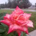 Profile Picture of Dianna Marshall Poston (@dianna.marshallposton) on Facebook
