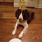 Profile Picture of Lori Sienkiewicz Van Hook (@phlypper13) on Instagram