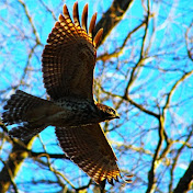 Profile Picture of Robert Craven (@Robertcravenvlogs) on Youtube