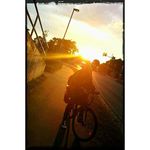 Profile Picture of Timothy Dawes (@timothydawess) on Instagram