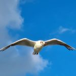 Profile Picture of Michael Hanisch (@michael.hanisch.mh) on Instagram