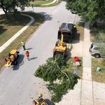 Profile Picture of Brandon Bond (@blazetreeservice) on Instagram