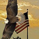 Profile Picture of Christopher Thomley (@4020chris) on Instagram