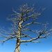 Profile Picture of Mark Dulski (@markdulski) on Pinterest