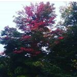Profile Picture of kyle lothrop (@davidjames0703) on Instagram