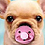 Profile Picture of Erica Holt (@True Beliber) on Flickr