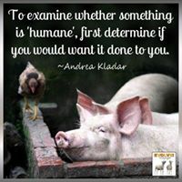 Profile Picture of Erika Gannon (@egannon79) on Pinterest