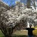 Profile Picture of Philip Hegelheimer (@philip.hegelheimer) on Facebook