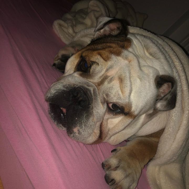 Profile Picture of James!!!(Giuli) (@xd_._james) on Tiktok