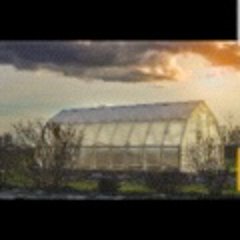 Profile Picture of Seebach David (@jardinsetforets) on Twitter