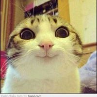 Profile Picture of Phạm Hồng Quang (@hongquangcitpro) on Myspace