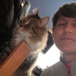 Profile Picture of Shrock (@crabbyandy) on Instagram