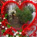 Profile Picture of Mahesh Persaud (@mahesh.persaud.54) on Facebook