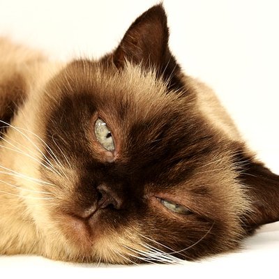 Mike Blasé - Twitter Profile Picture of Mike Blasé (@MikeFnurra) on Twitter