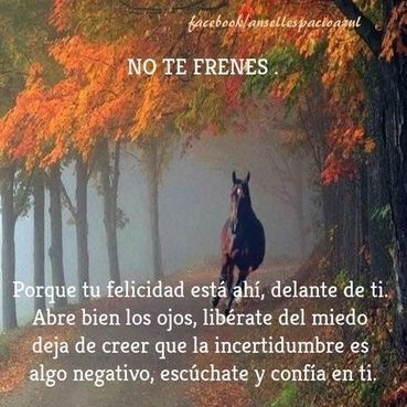 Martha Ferrando - Twitter Profile Picture of Martha Ferrando (@MarthaFerrando5) on Twitter