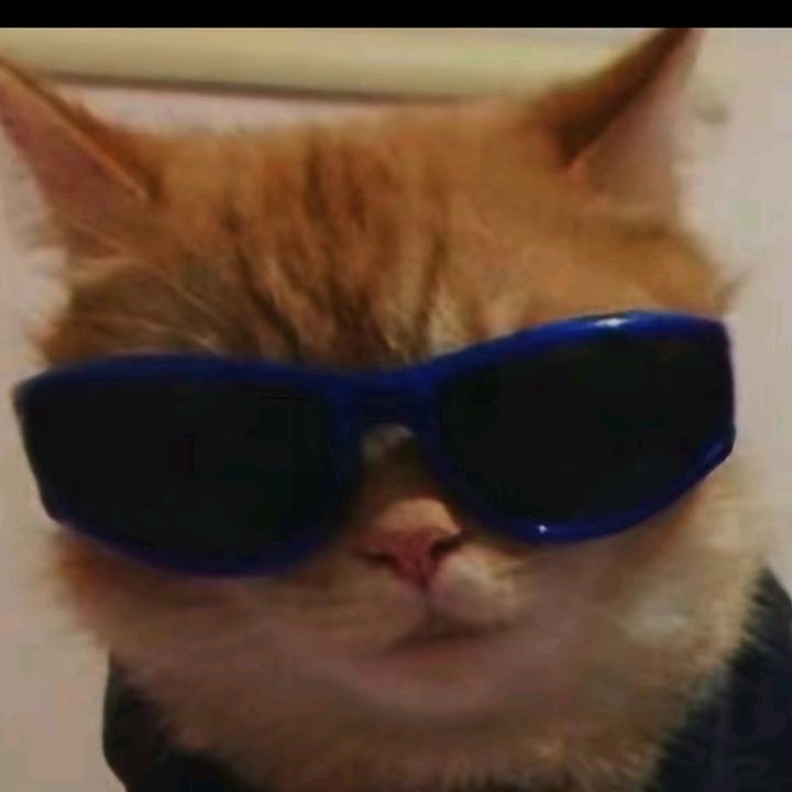 Profile Picture of Mikel (@michael_aka_mikel) on Tiktok