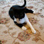 Profile Picture of Nancy Cook (@njcook88) on Instagram