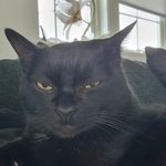 Peter Edlund - Instagram Profile Picture of Peter Edlund (@peter_etuna) on Instagram