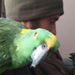 Profile Picture of Adam Redlich (@adum_r3dn3ck) on Instagram