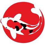 Profile Picture of Steve Gibbins (@koitours) on Instagram