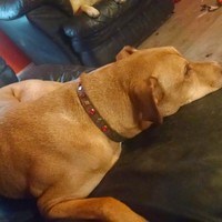 Profile Picture of Xavier Jaime (@xavier-jaime-1) on Quora