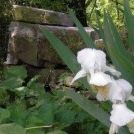 Profile Picture of Janay Phillips (@lulurae) on Pinterest