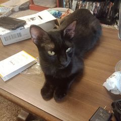 Profile Picture of aaronlovell872 (@aaronlovell872) on Tiktok