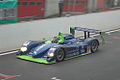 Profile Picture of Dallara SP1on Wikipedia