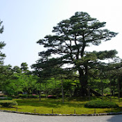 Profile Picture of David Tsai (@tsai324) on Youtube