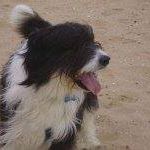 Profile Picture of Basil Cross (@basil.cross) on Facebook