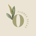 Profile Photo of Olivia - flores secas (@olivia.floressecas) on Instagram