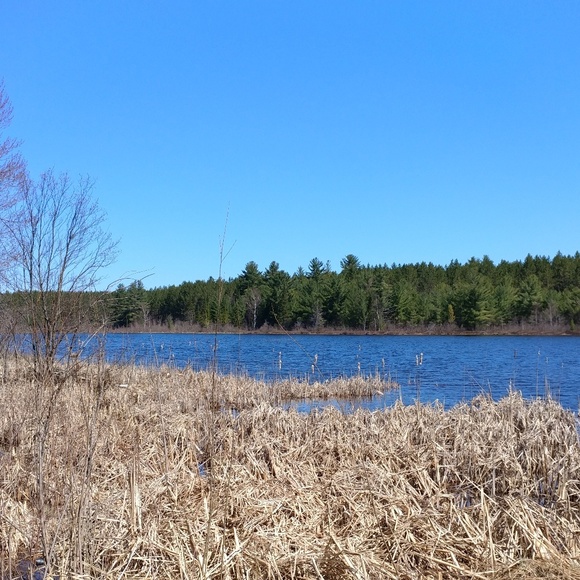 Caroline Badalamente - Poshmark Profile Picture of Caroline Badalamente (@carolinebad) on Poshmark