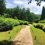 Profile Picture of Brian Cho (@brian__cho) on Instagram