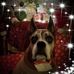 Profile Picture of Tracy Palmisano (@tracy.palmisano) on Facebook