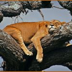 Profile Picture of John Dooley (@jay_dee5000) on Instagram