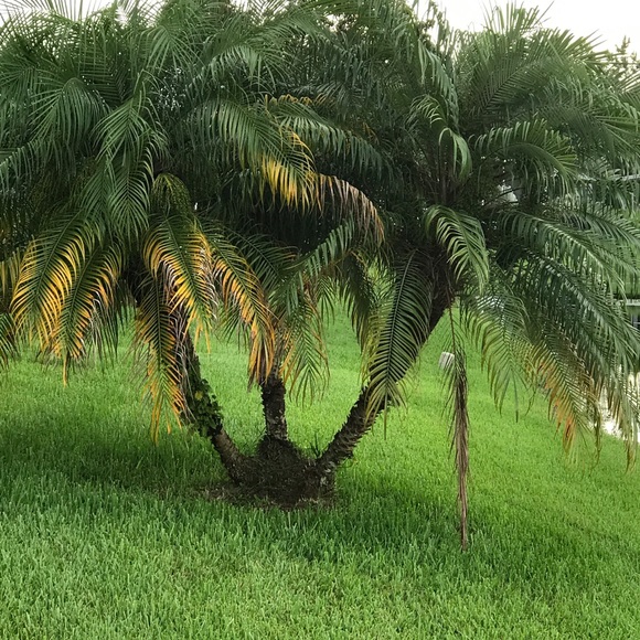 Profile Picture of Donna Campbell (@kekh) on Poshmark