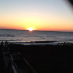 Profile Picture of Shannon Phillips (@phillips_shannon) on Instagram