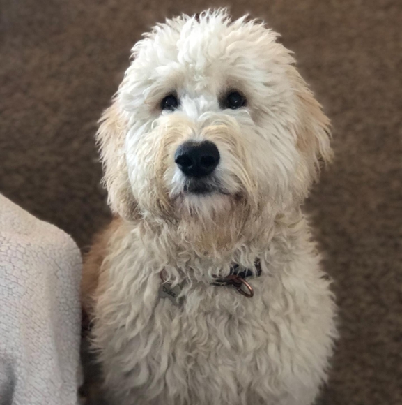 Sherman Glover - Poshmark Profile Picture of Sherman Glover (@edglover79) on Poshmark