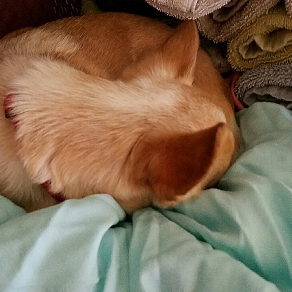 Profile Picture of Marisa Weeks (@miisa123) on Poshmark