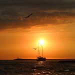 Profile Picture of Jeffrey Collier (@jeffrey_colbo) on Instagram